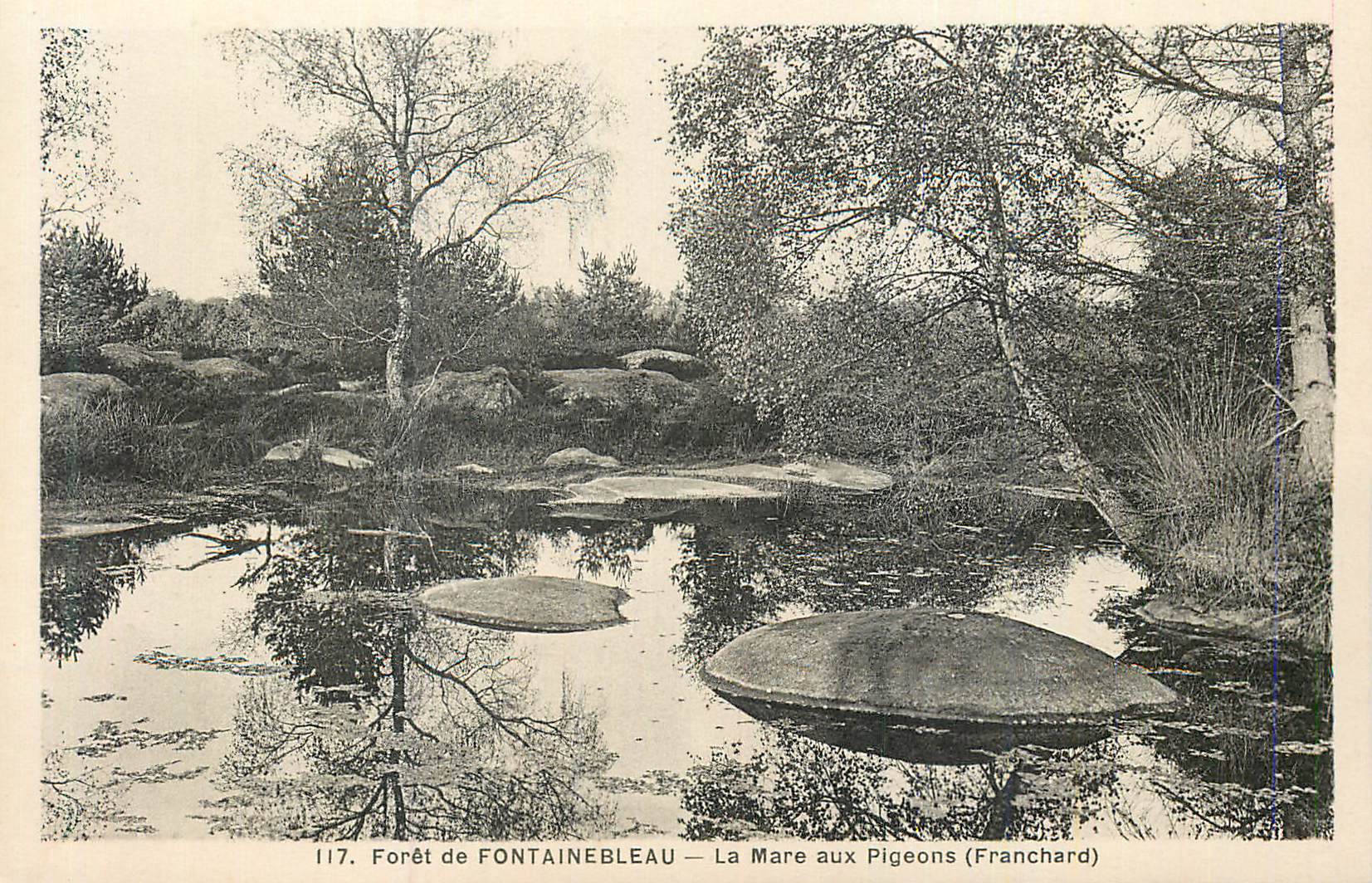 Wald von FONTAINEBLEAU — Der Taubenteich (Franchard) — n°117