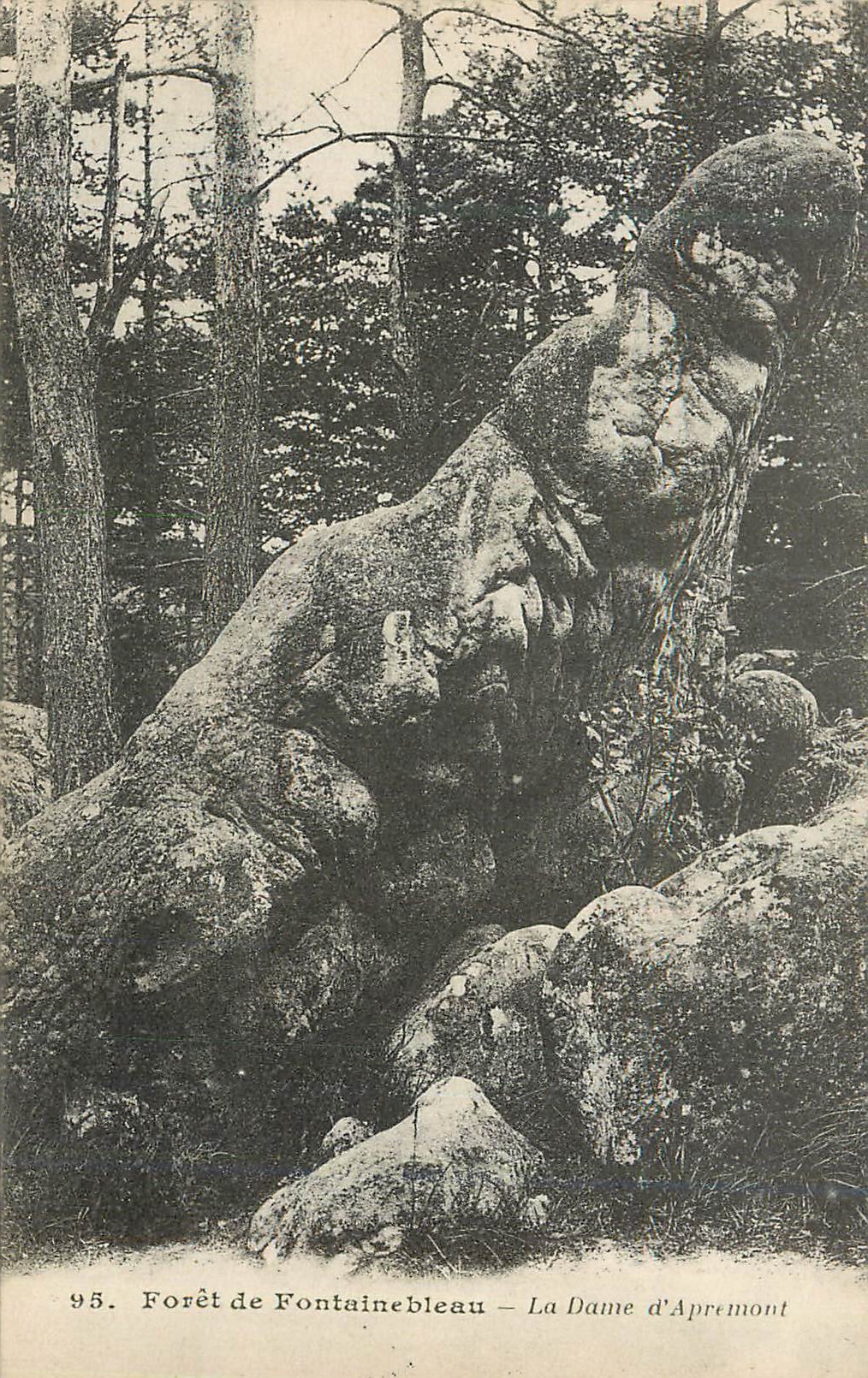 Forêt de Fontainebleau — La Dame d'Apremont — n°95