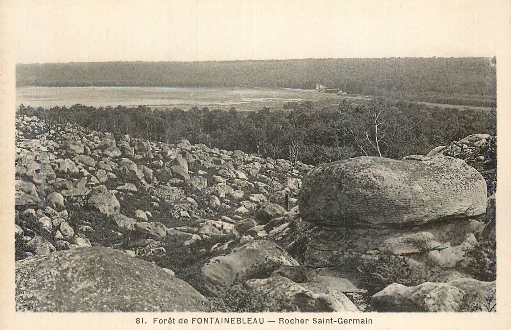 Bosque de FONTAINEBLEAU — Roca Saint-Germain — n°81