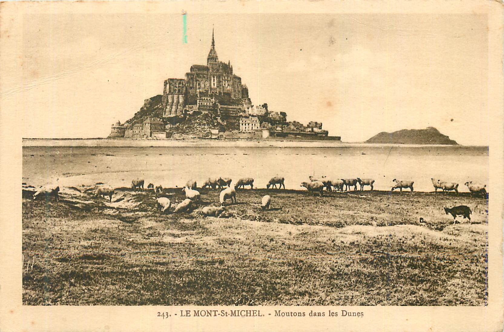 CPA Le Mont Saint Michel Moutons dans les Dunes Moutons Chevre