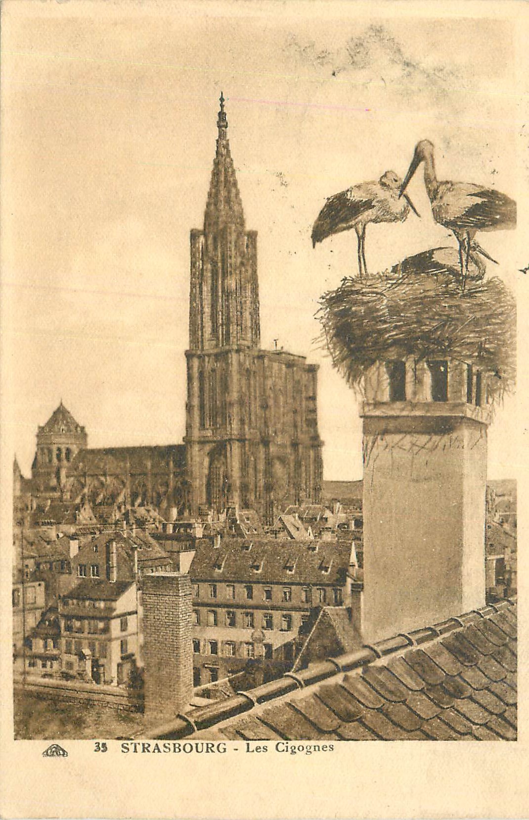 CPA Strasbourg Les Cigognes