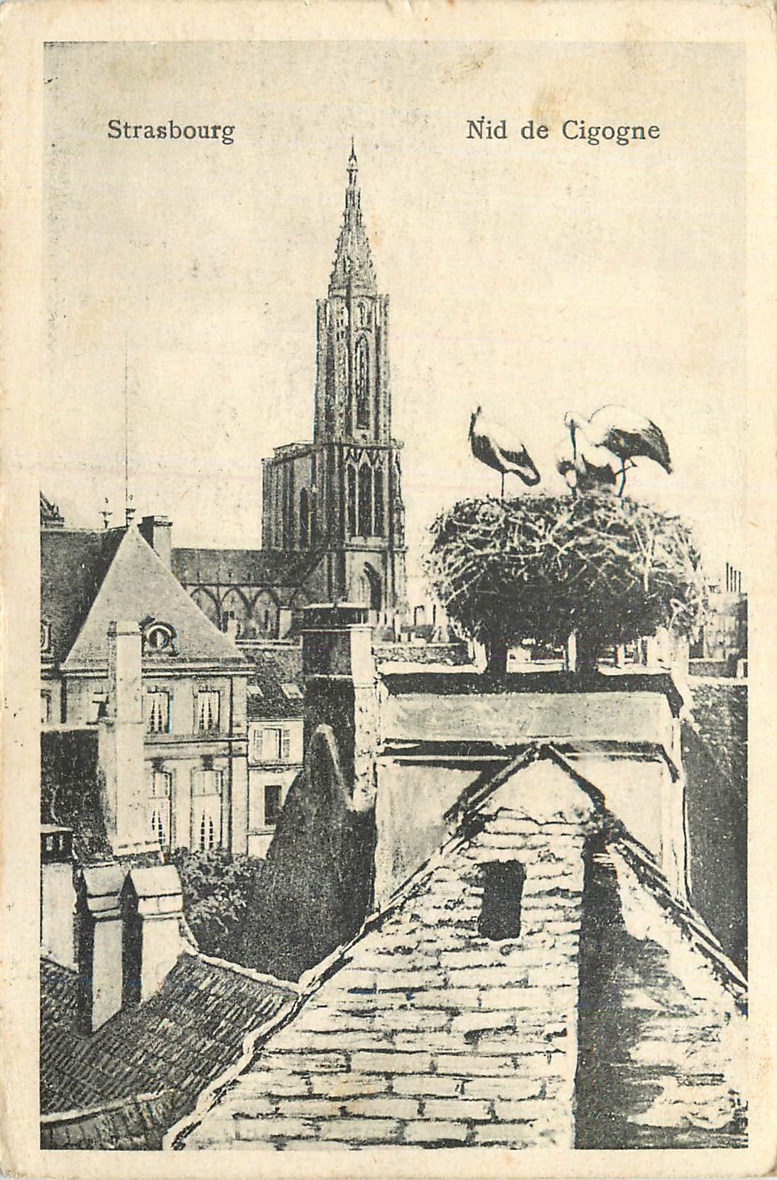 Straßburg — Storchennest — Verlag nicht sichtbar