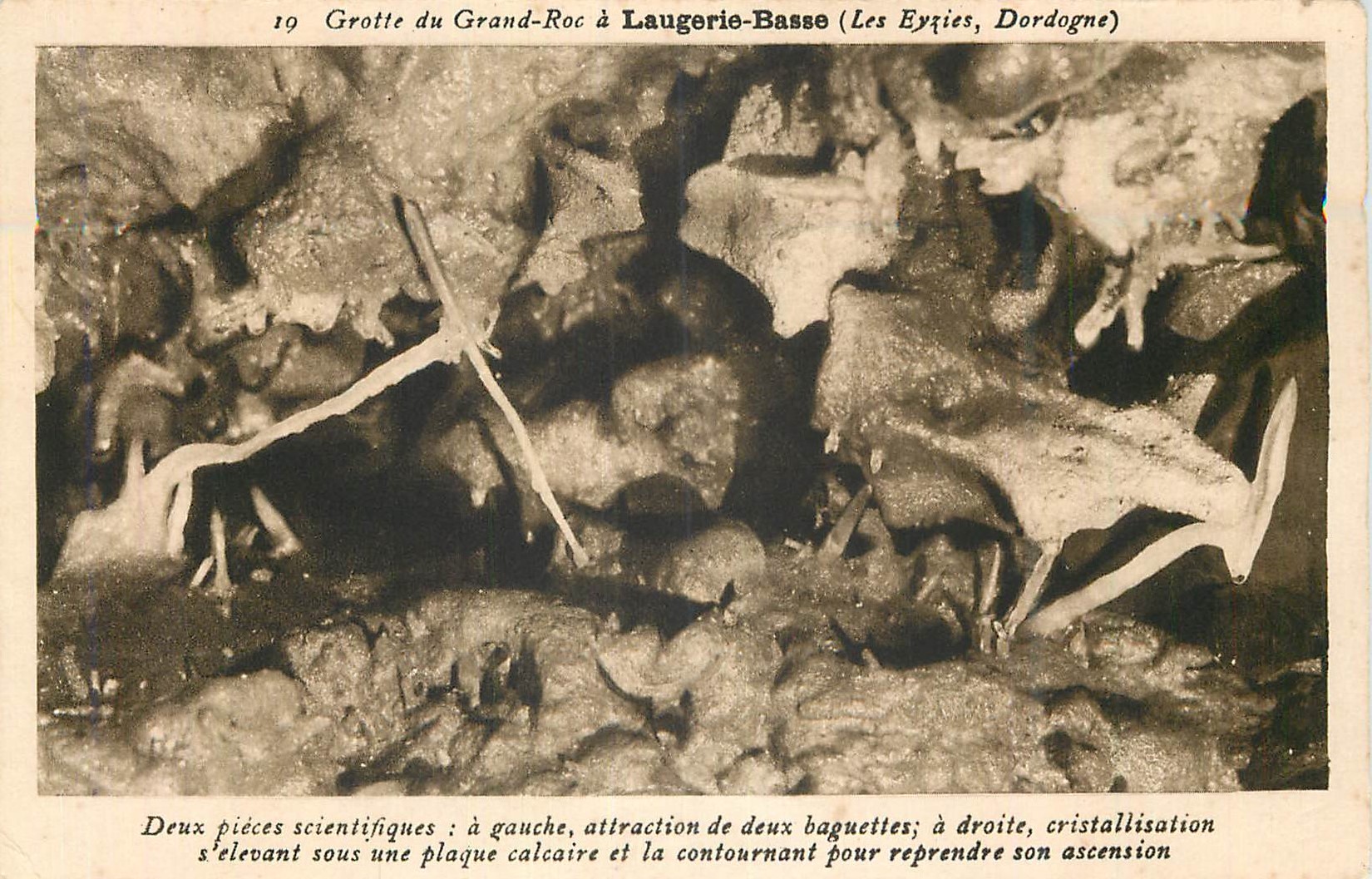 Grotte du Grand-Roc à Laugerie-Basse (Les Eyries, Dordogne) — deux formations stalactitiques et stalagmitiques — série 19