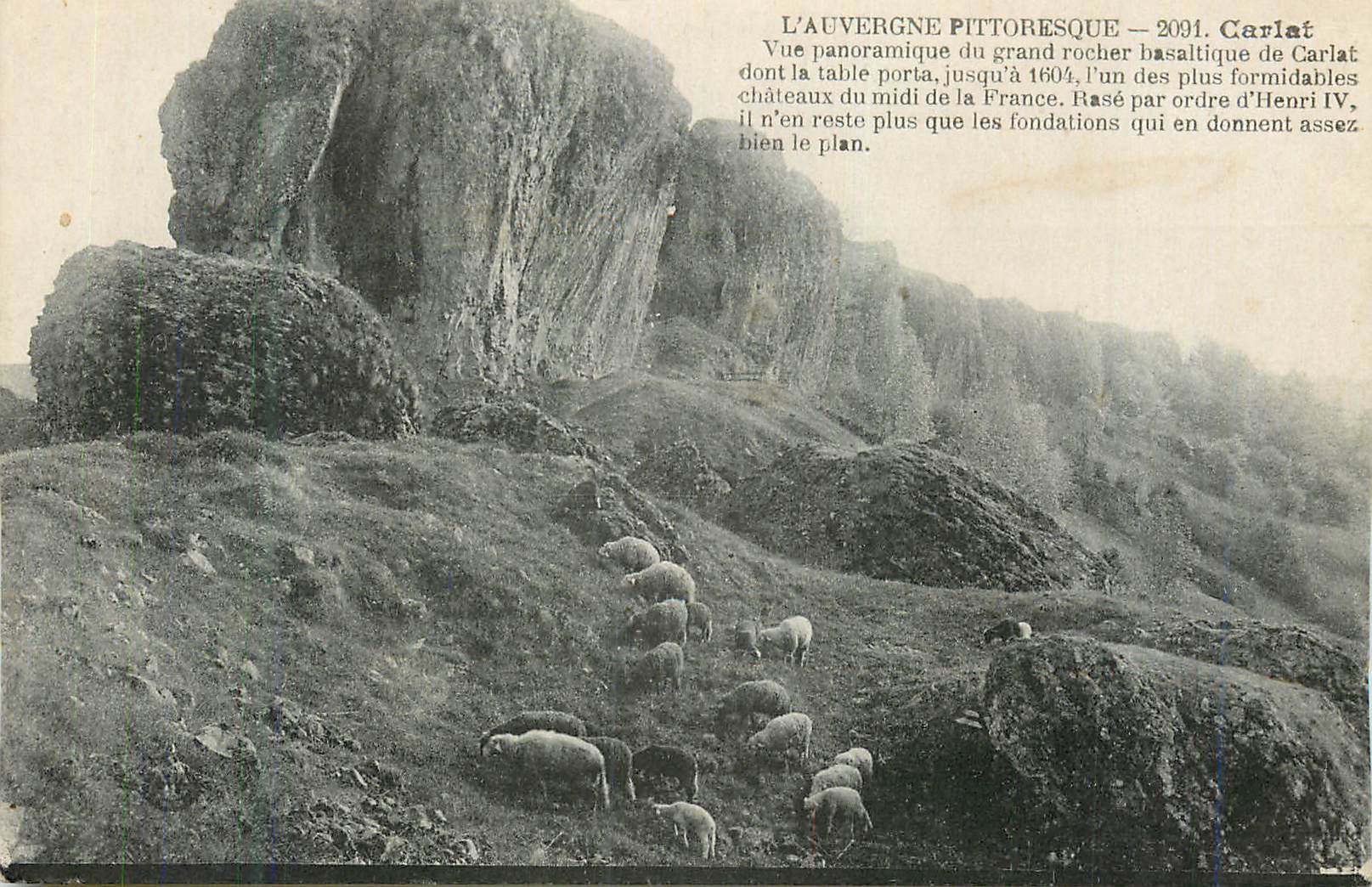 CPA Carlat l'Auvergne Pittoresque Moutons