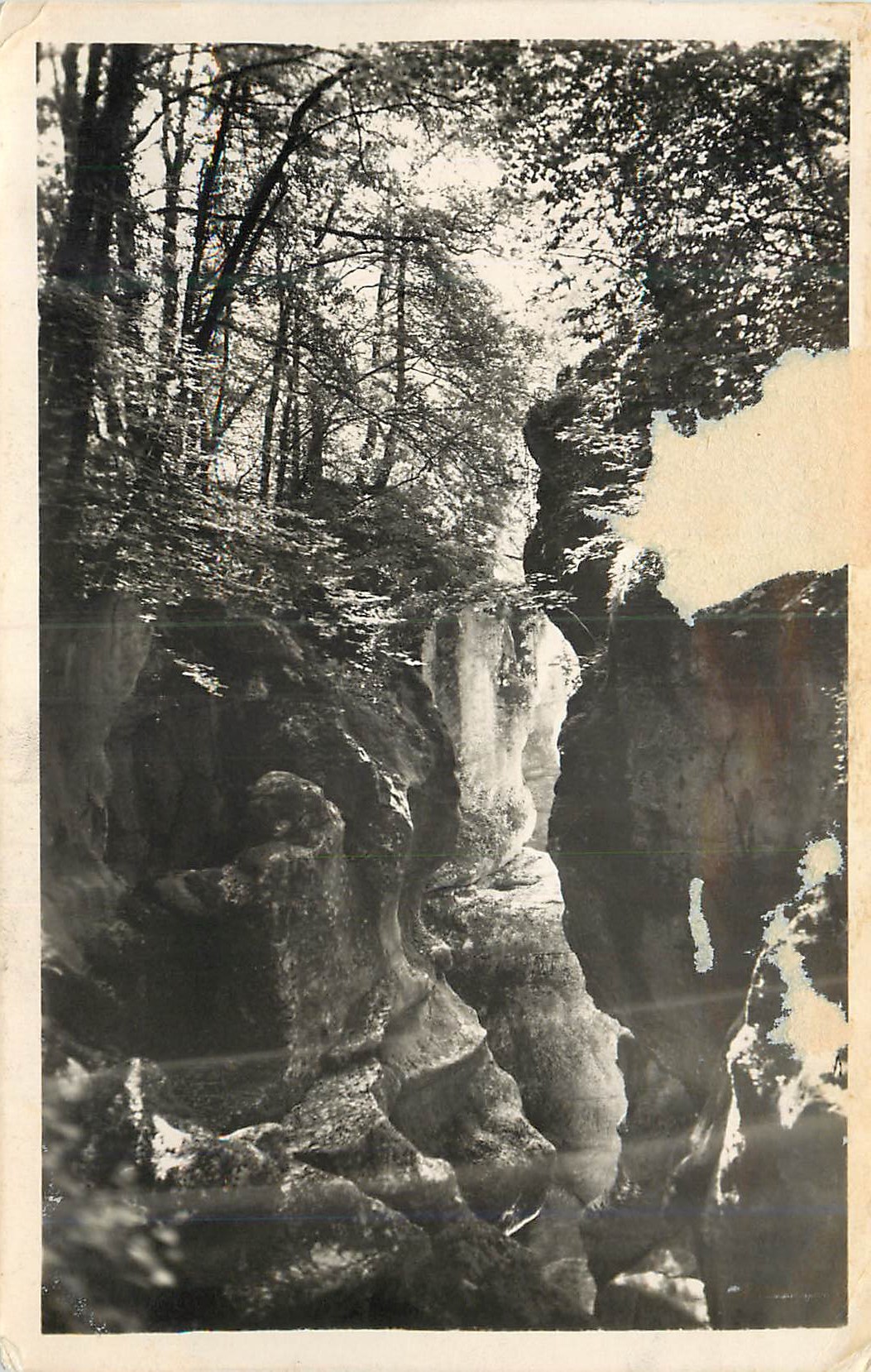 CPM Environs d'Annecy (H S) Les Gorges du Fier Les Beaux Sites au Printemps