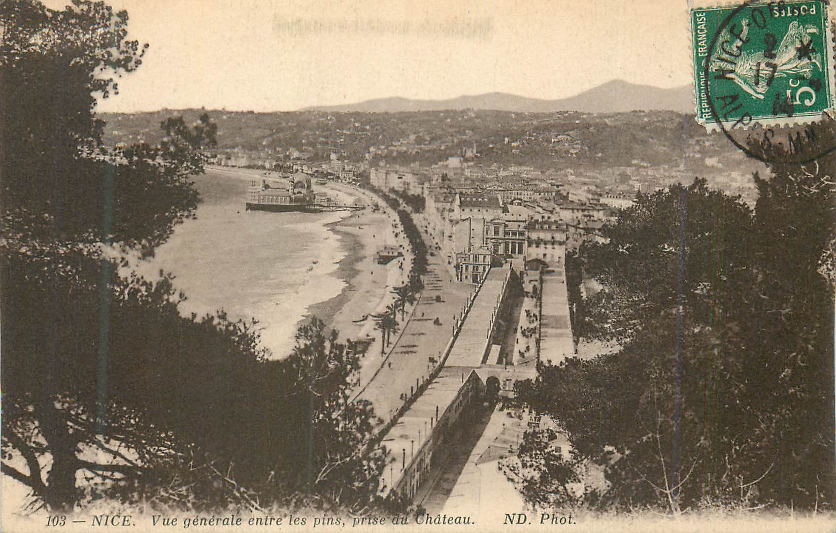 CPA Nice Vue Generale entre les Pins prise du Chateau
