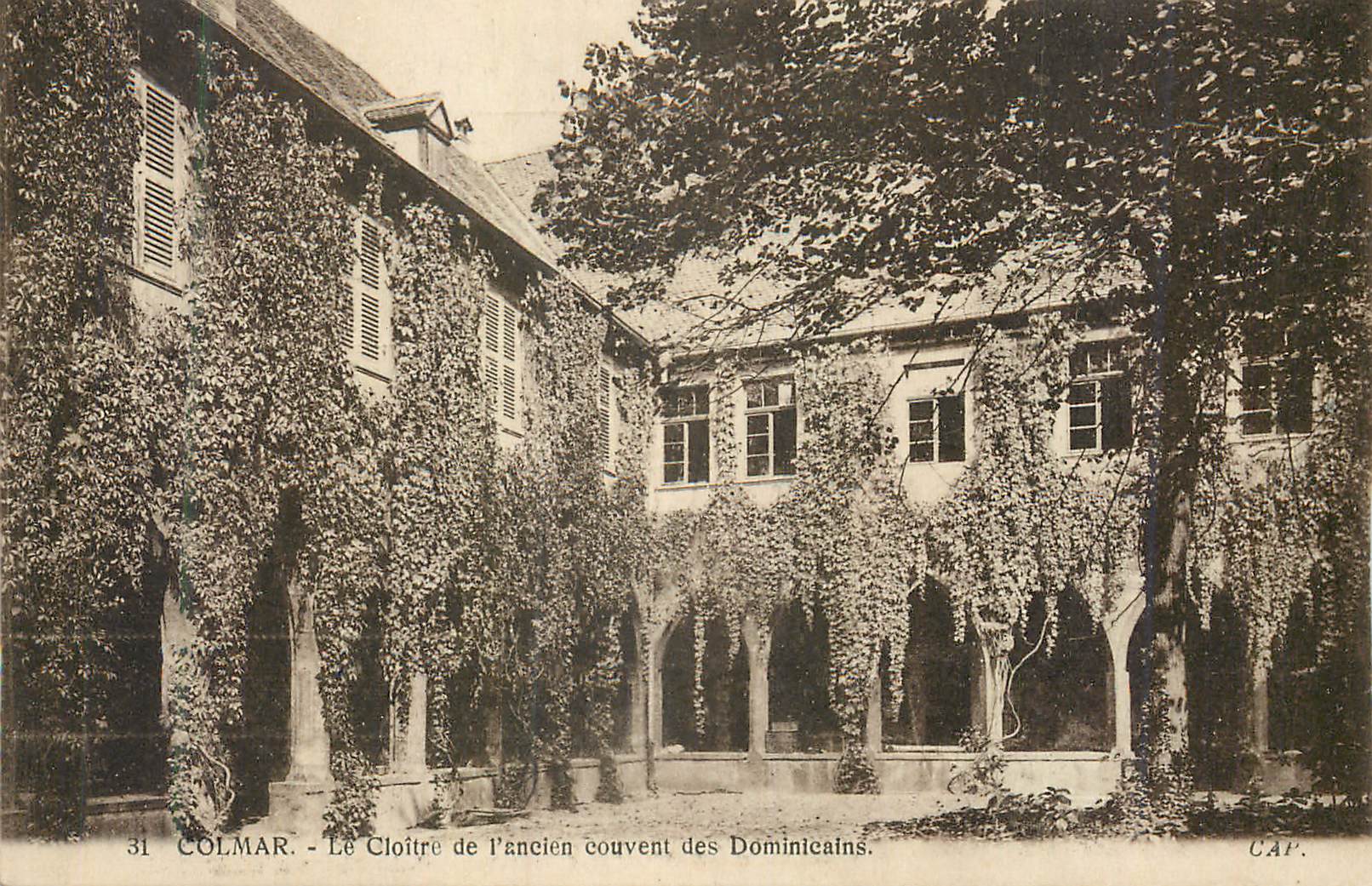 CPA Colmar Cloitre de l'ancien Couvent des Dominicains