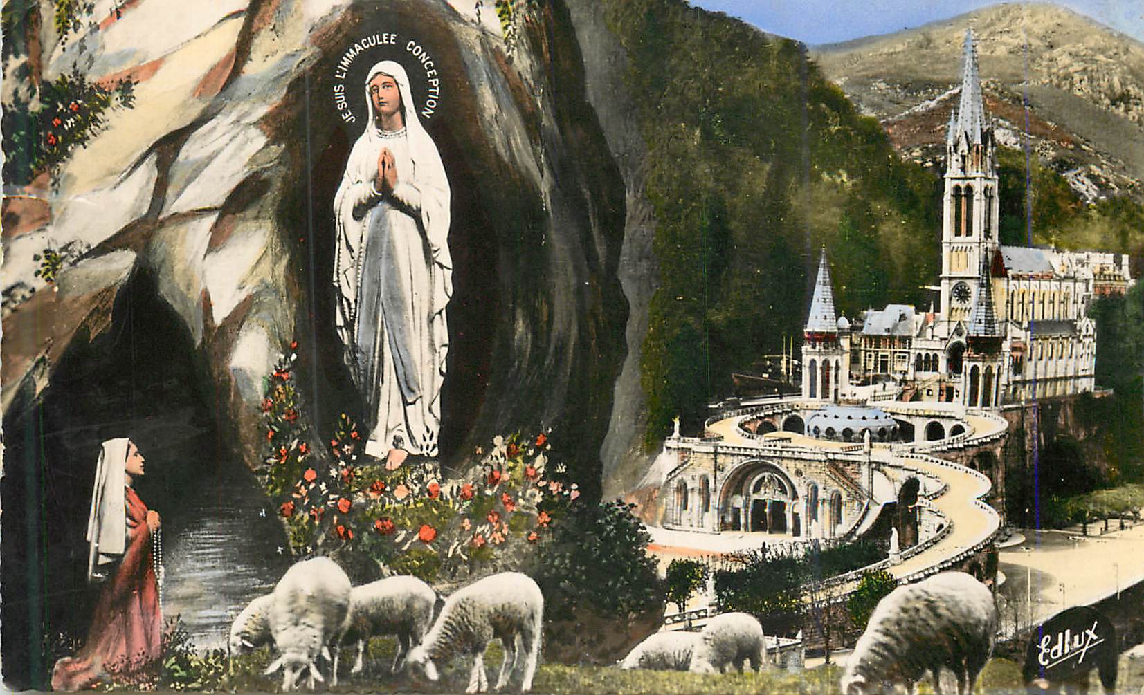CPM Lourdes La Basilique et l'Apparition