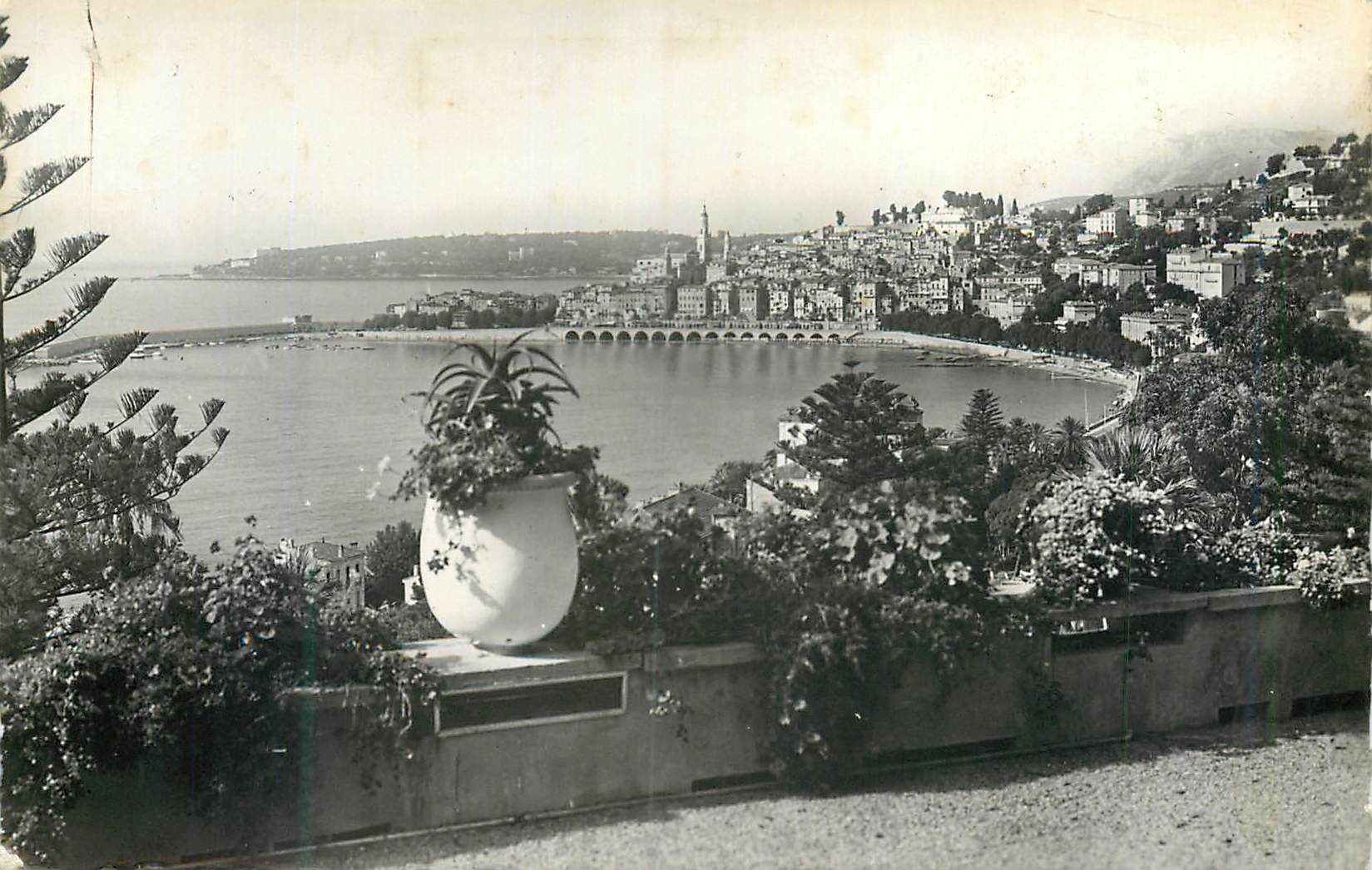 CPM Menton (A M) Vue Generale sur la Ville Au Fond Le Cap Martin