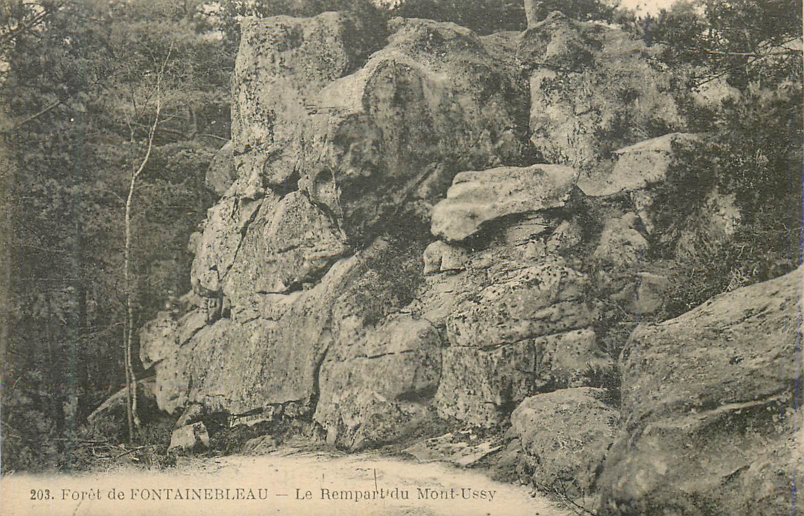Forêt de FONTAINEBLEAU — Le Rempart du Mont-Ussy — Éditeur : 203