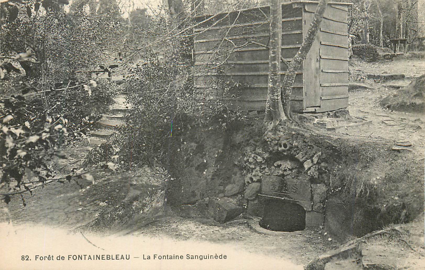 Wald von FONTAINEBLEAU — Quelle Sanguinède — Verlag: J. P. S.