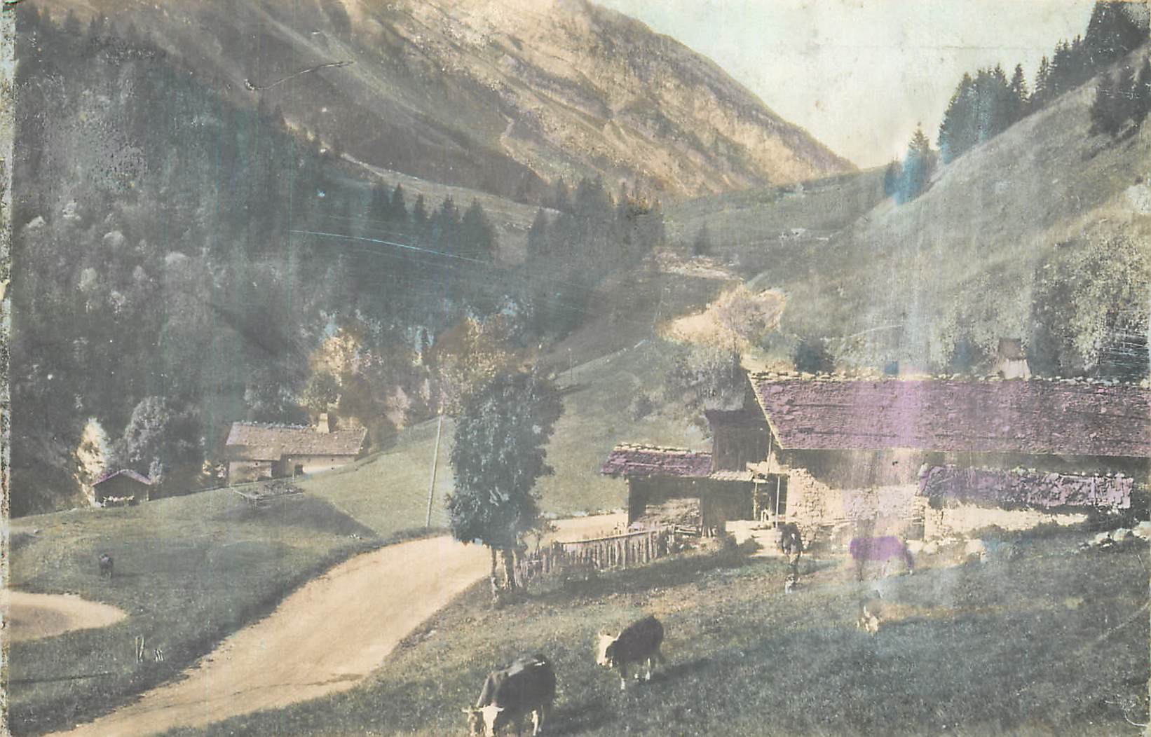 Paysage alpin — chalet et vaches — éditeur non identifiable