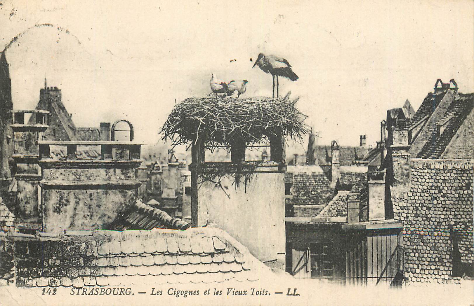CPA Strasbourg Les Cigognes et les Vieux Toits