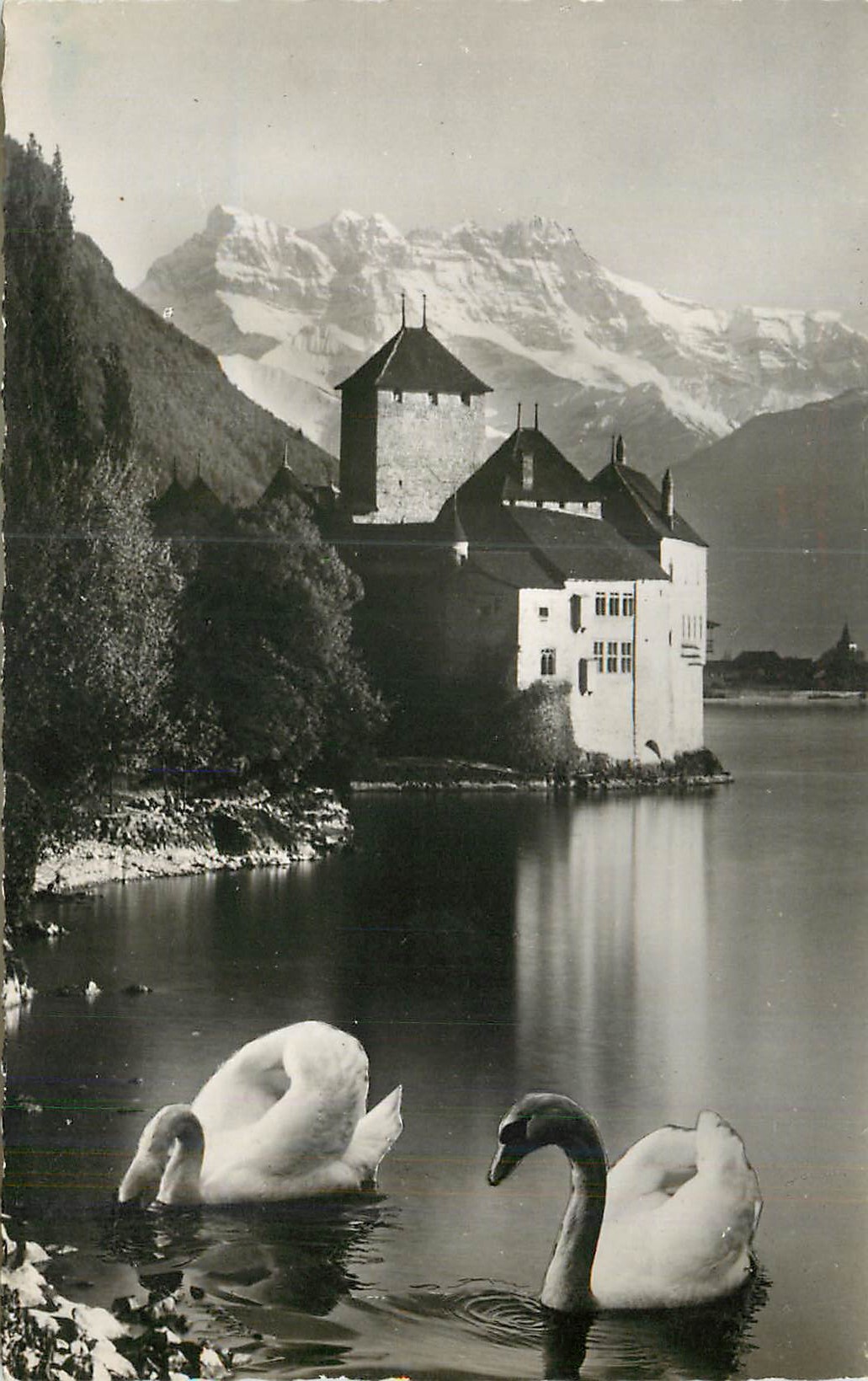 CPM Chateau de Chillon et Dents du Midi Cygnes