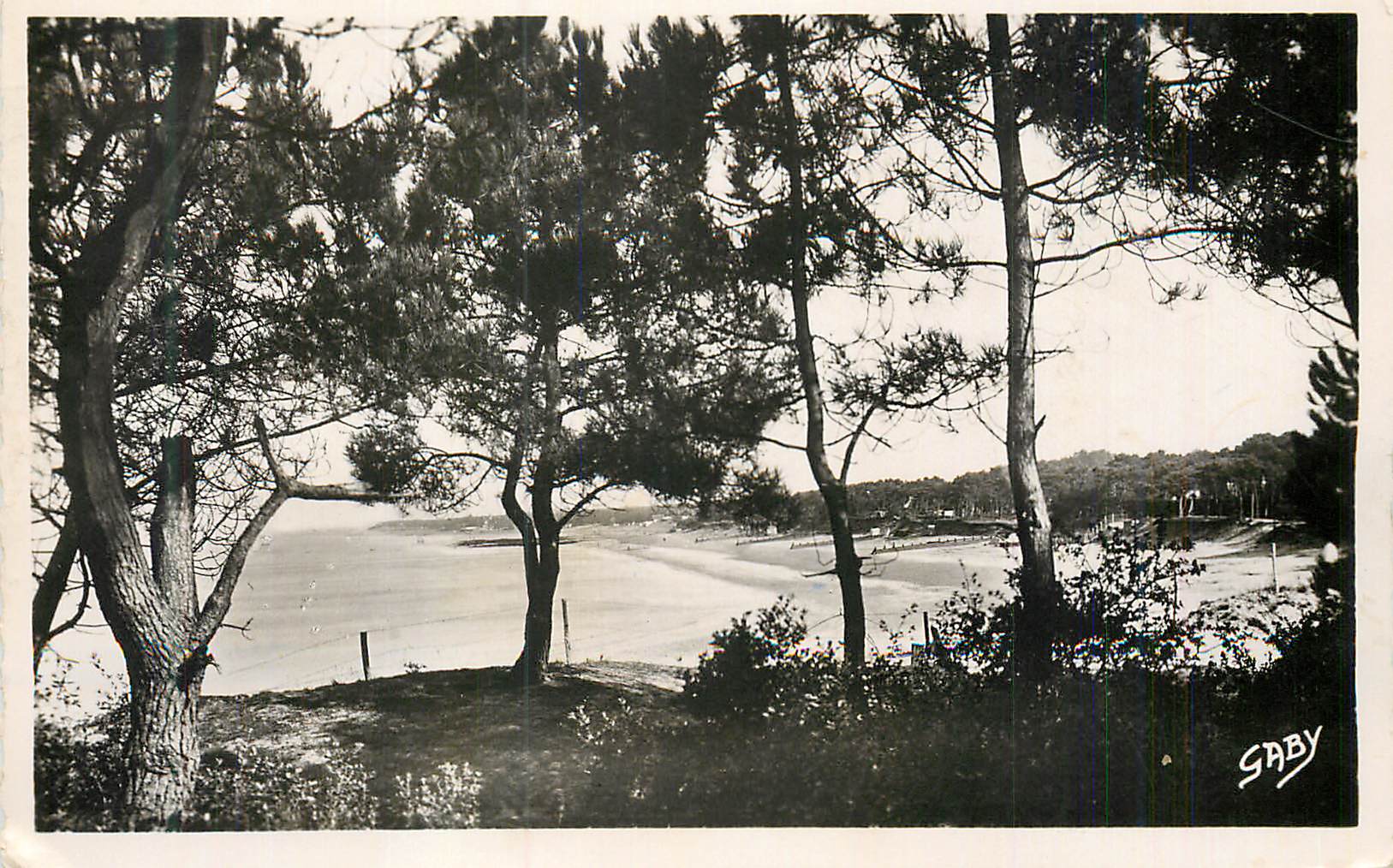 CPM Saint Brevin l'Ocean (L Inf) Vue d'Ensemble de la Plage sous les Pins