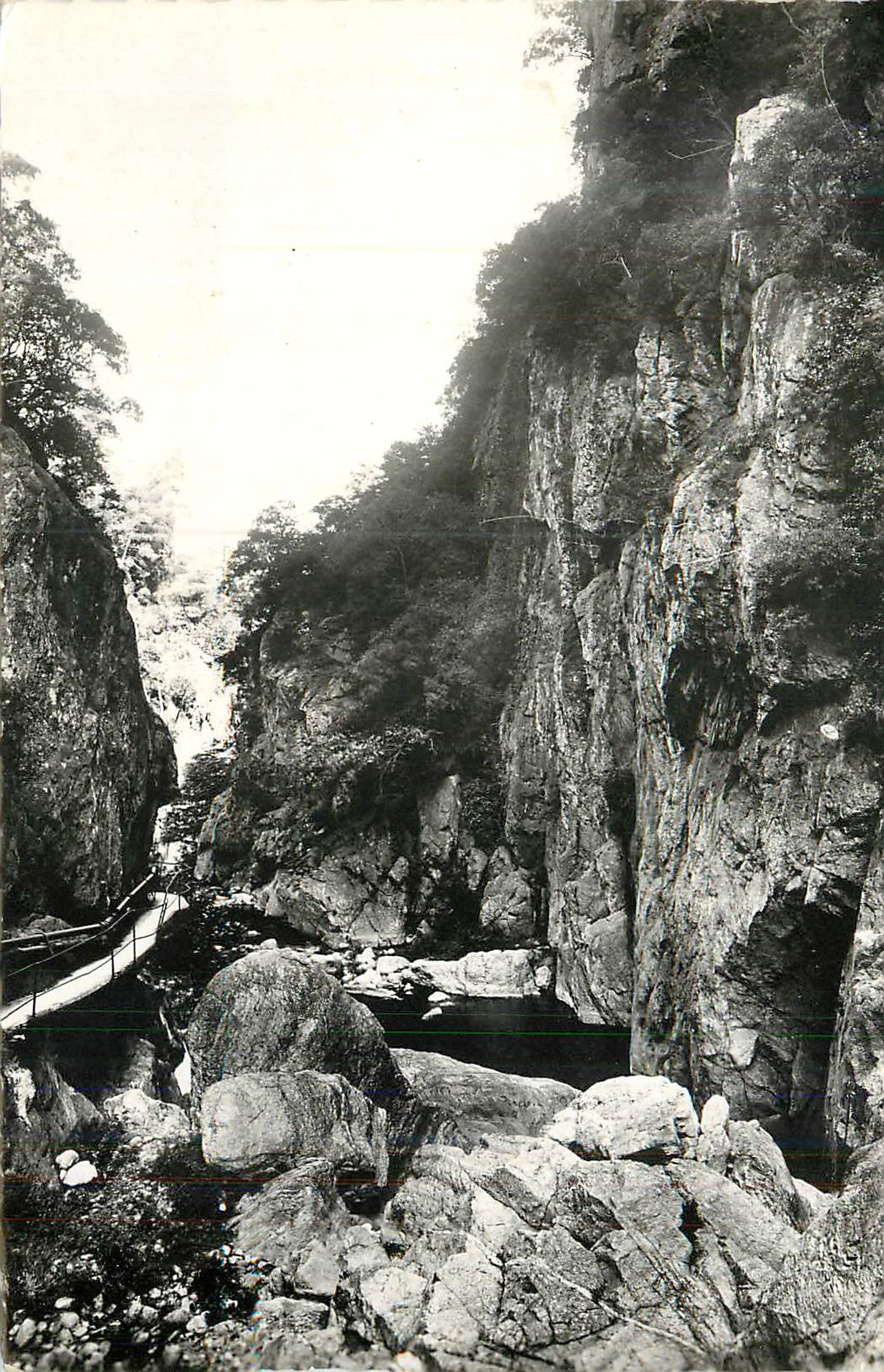 CPM Amelie les Bains (PO) Gorges du Mondony