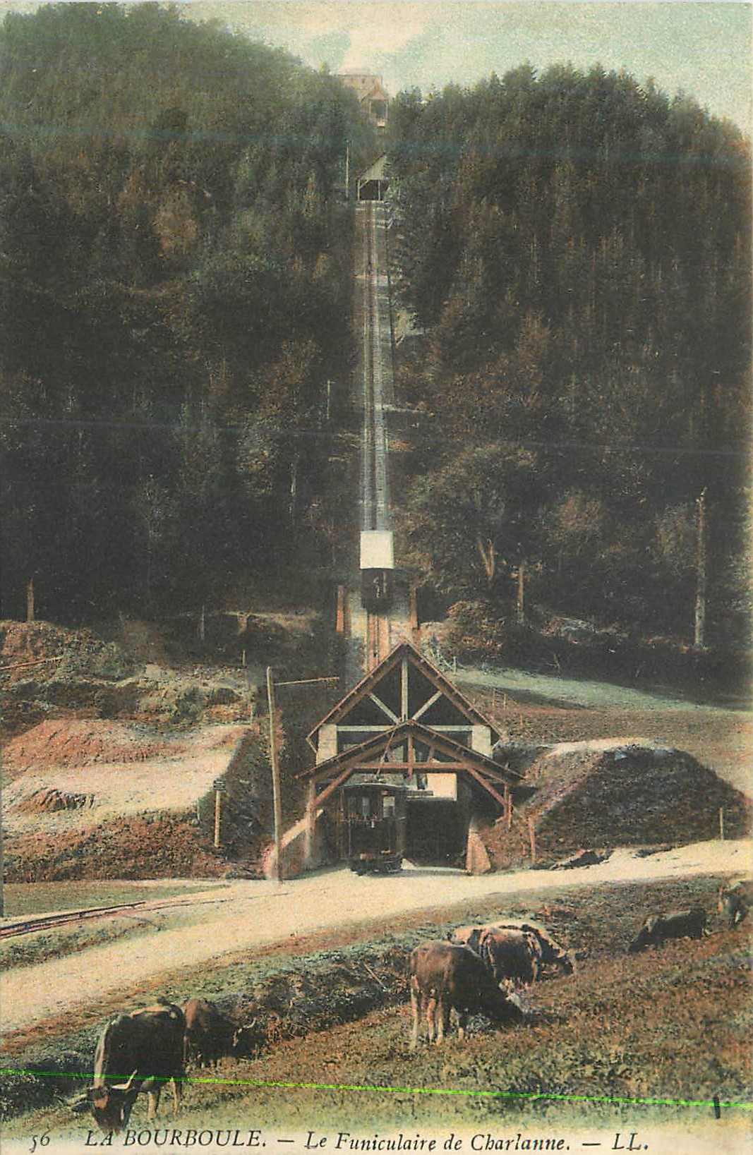 CPA La Bourboule Le Funiculaire de Charlanne Vaches