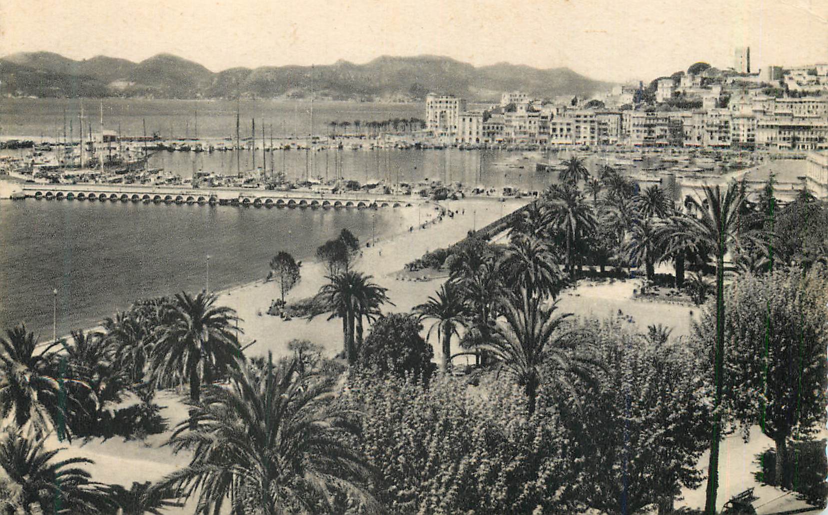 CPA Cannes La Cote d'Azur Vers le Mont Chevalier l'Esterel