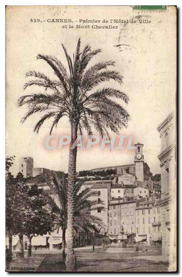 Cannes CPA Palmier de l'hotel de ville et le Mont Chevalier