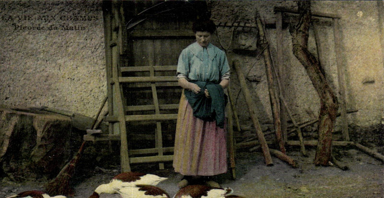 Folklore - Metier - Agriculture - La Vie aux Champs - Canard Oie- CPA 