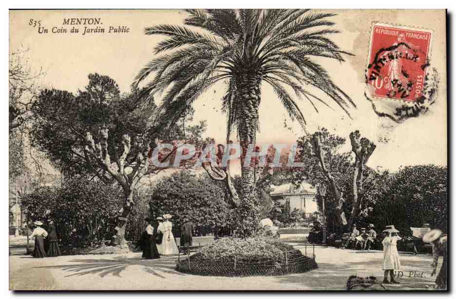 Menton - Un Coin du Jardin Public - palmier - palm tree - CPA 