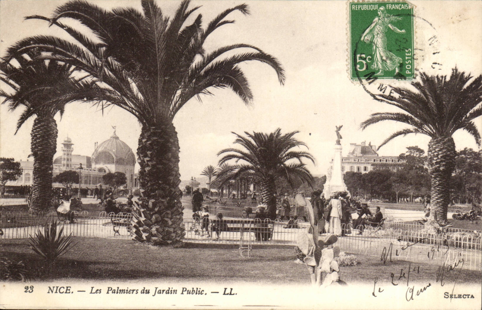 Nice CPA Les palmiers du jardin public (palmiers)