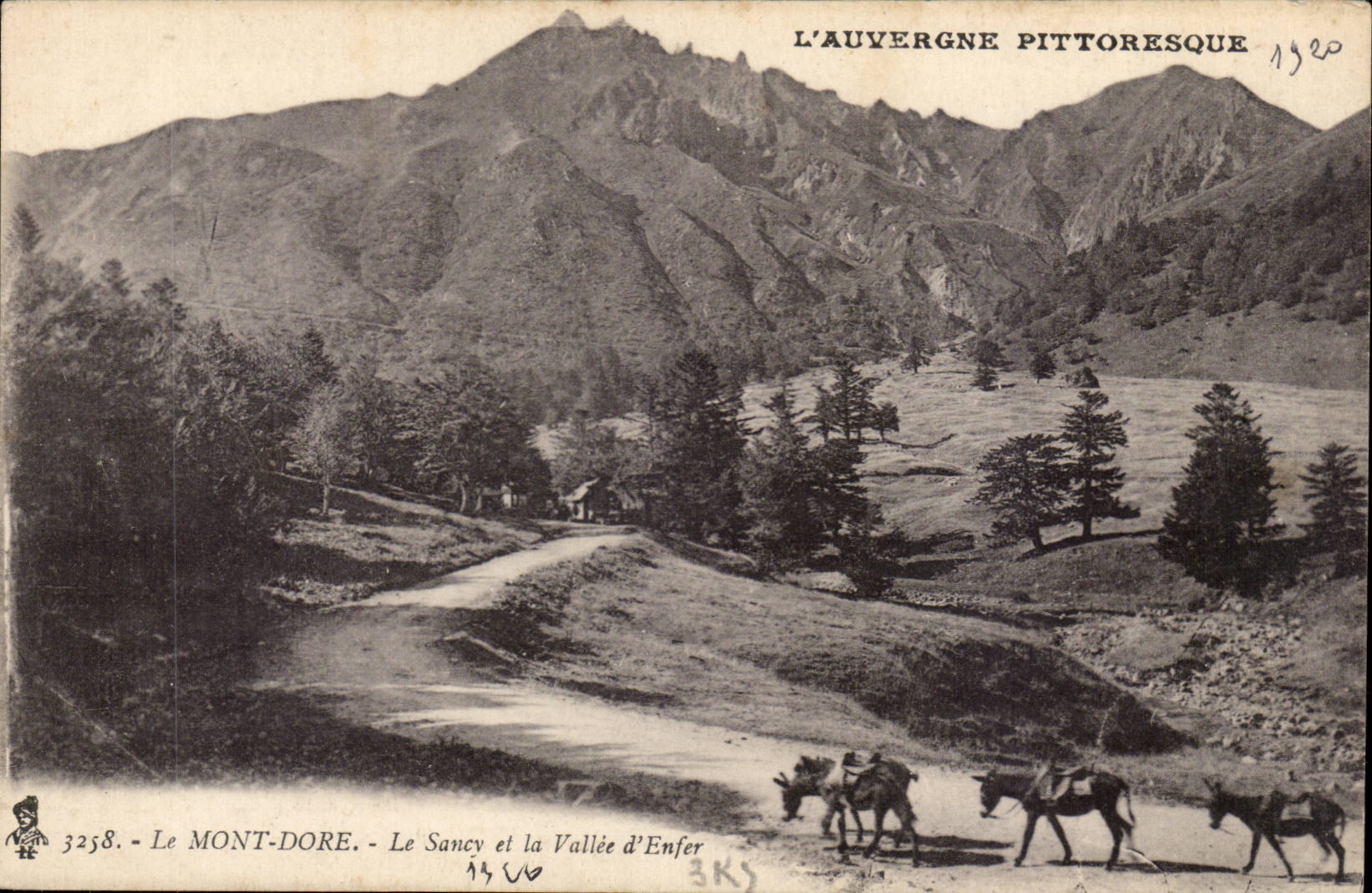 CPA Auvergne le Mont Dore Le Saucy et la vallee d'enfer (ane anes donkey donkeys)