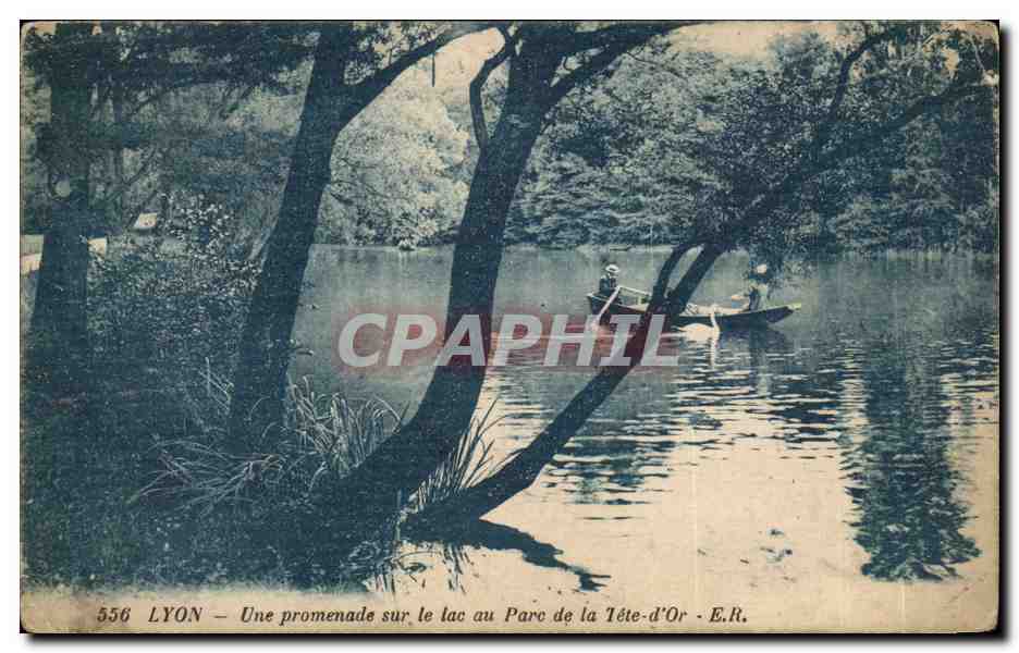 Lyon CPA Une promenade sur le lac au parc de la tete d'or