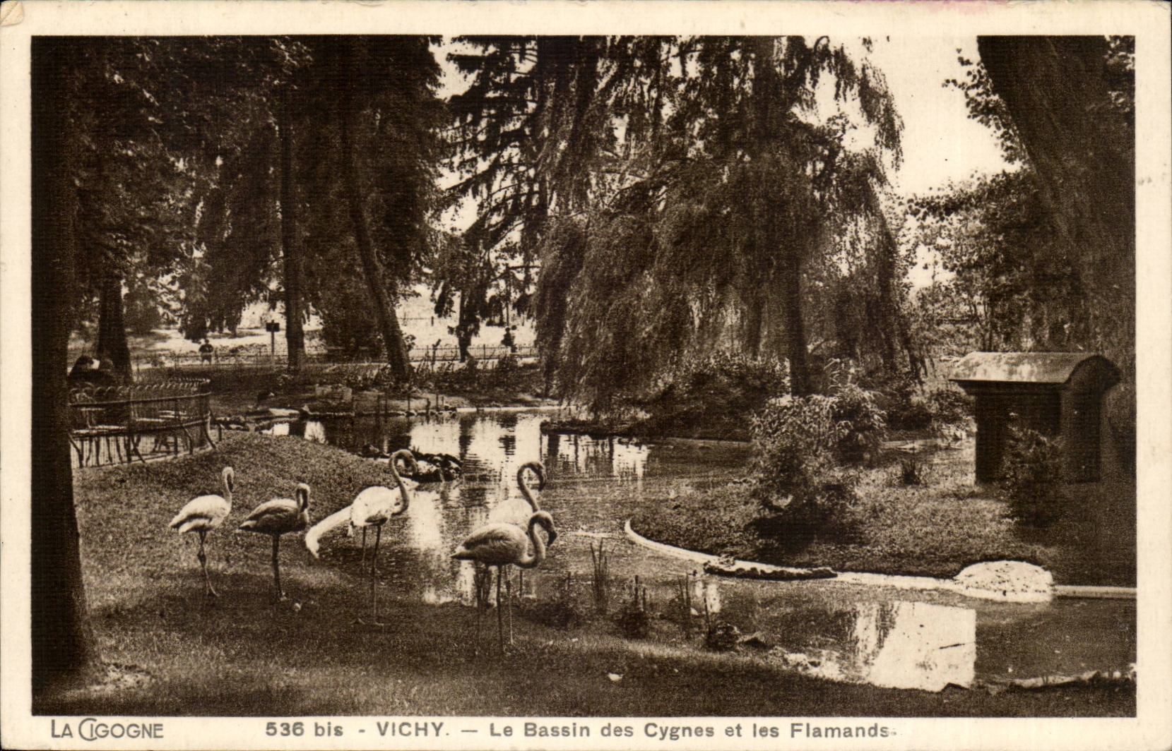 Vichy CPA Bassin des cygnes et les Flamands