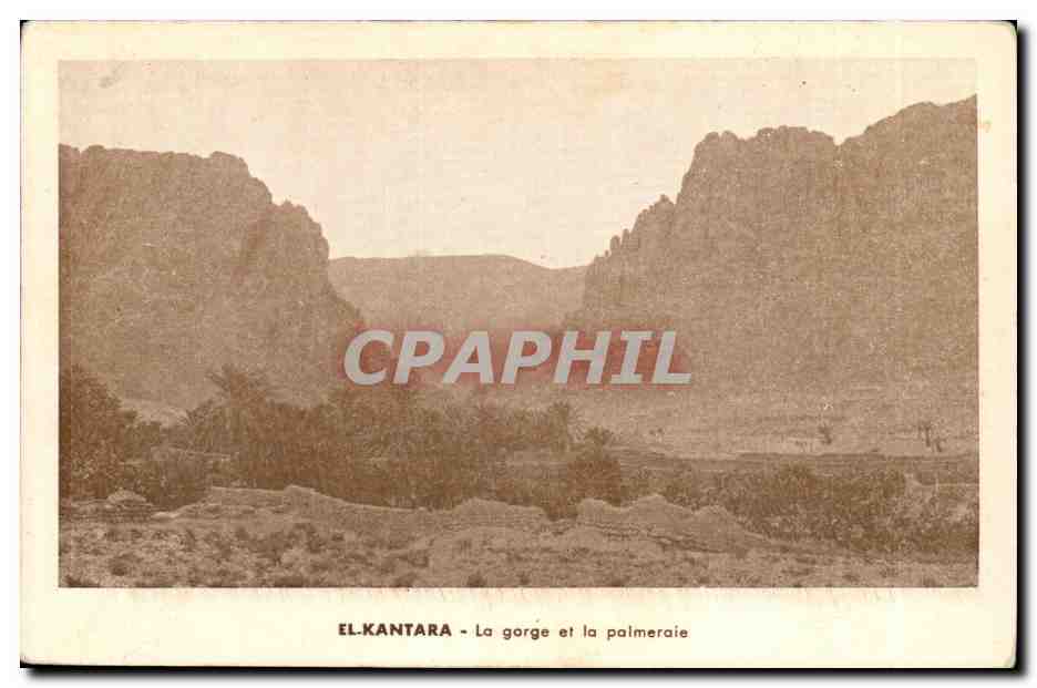 MAroc Morocco El Kantara CPA La gorge et la palmeraie