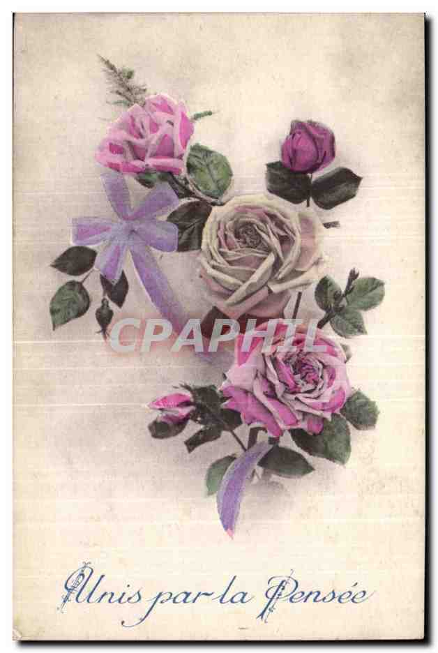 Rose - Unis par la pensee - flower with bow - CPA 
