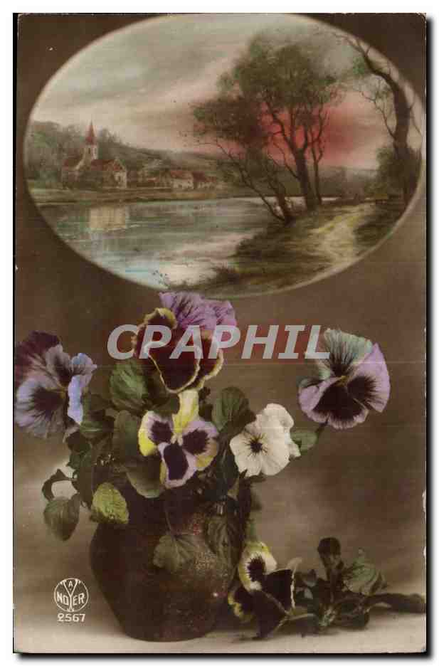 Fantaisie - Fleur - Pensee - Vase filled with pansies - scenic view- CPA 