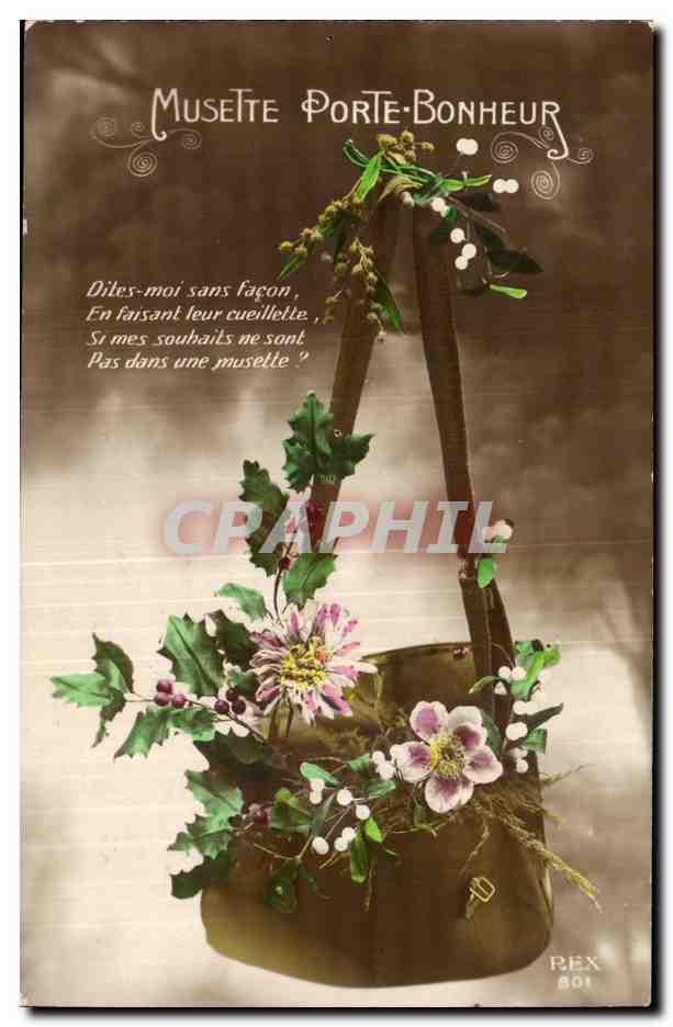 Fantaisie - Fleur - Musette porte bonheur - flowers in a purse- CPA 