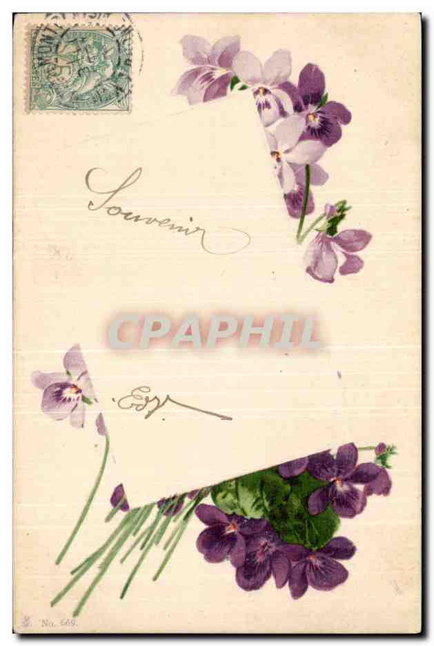 Fantaisie - Fleurs - Pensee - souvenir - pansies - CPA 