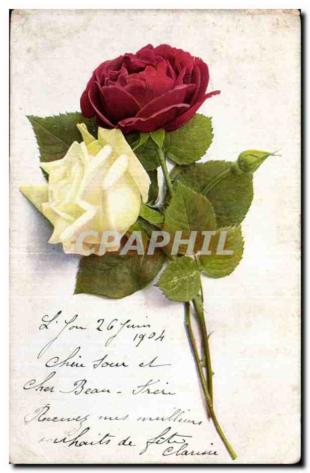 Fantaisie - Fleurs - rose - Two roses and bud - CPA 