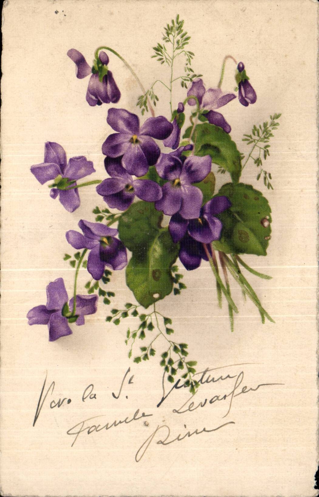 Fantaisie - fleur - Pensee - pansies - CPA 