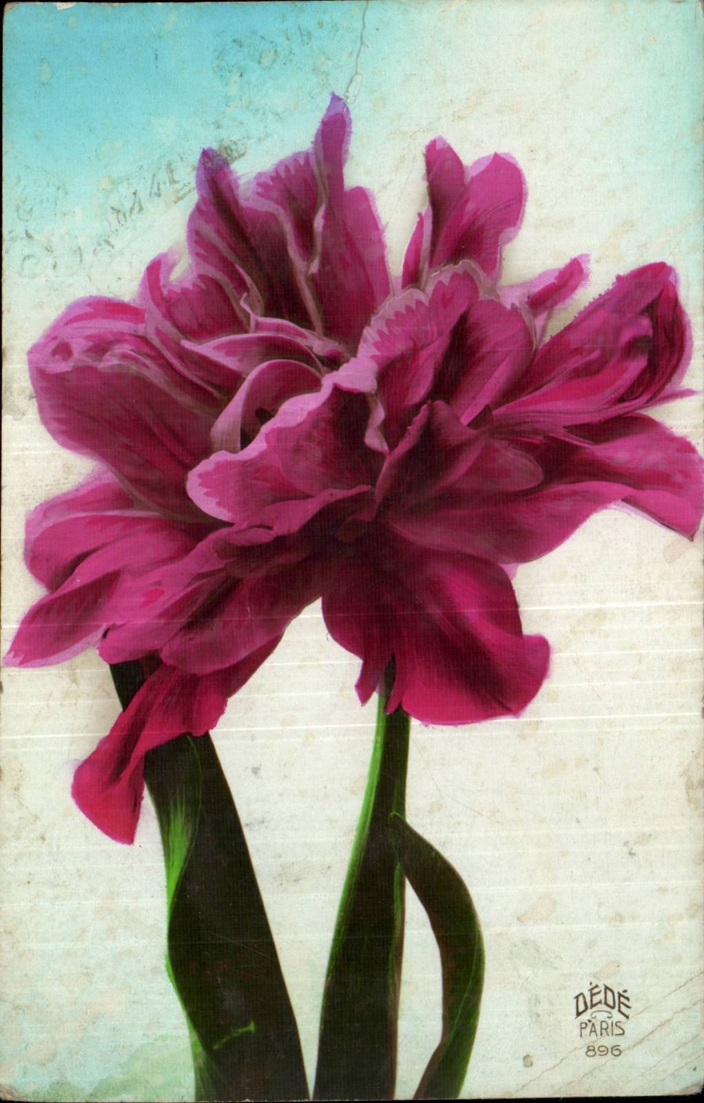 Fantaisie - fleur - Dede paris - tiger lily - CPA 
