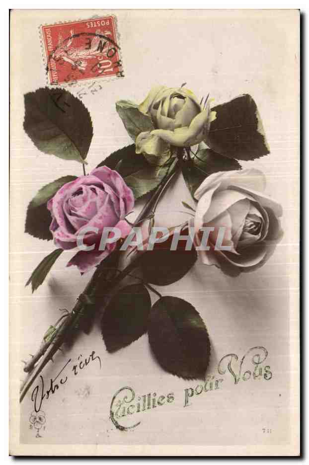 Fantaisie - fleur - Cueilles pour vous - rose - picked for you - CPA 