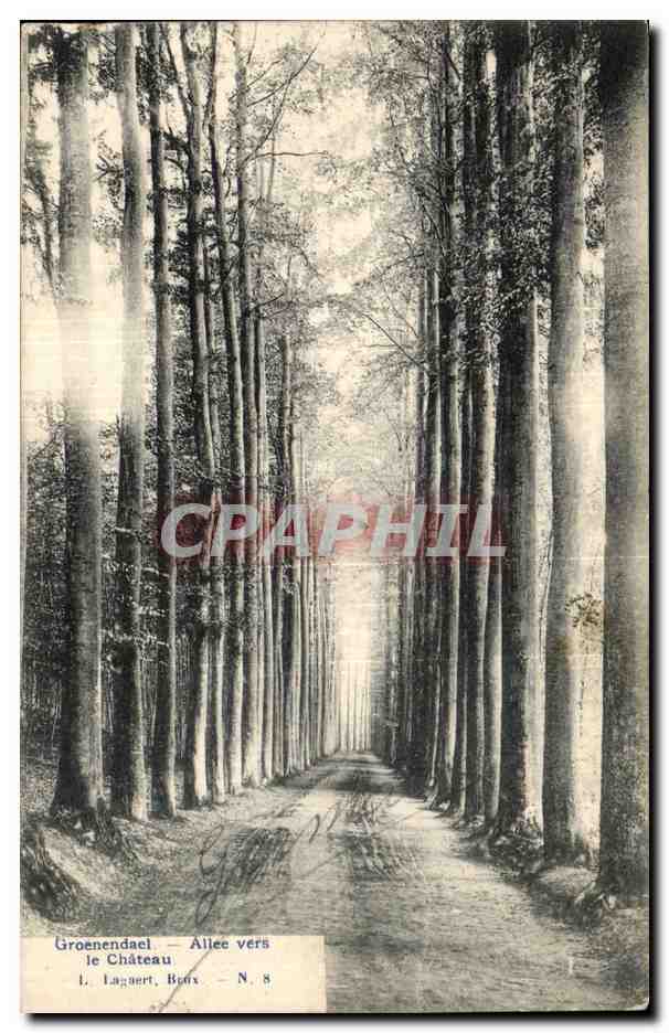 Belgique - Belgium - Groenendael - Allee vers le Chateau - CPA 