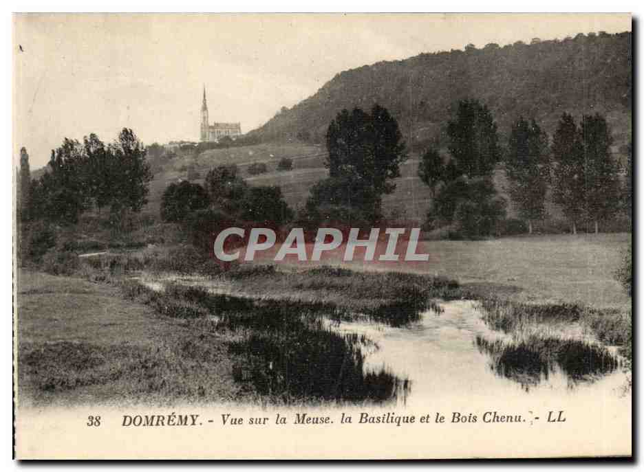 Domrémy - Vue sur la Meuse, la Basilique et le Bois Chenu - LL