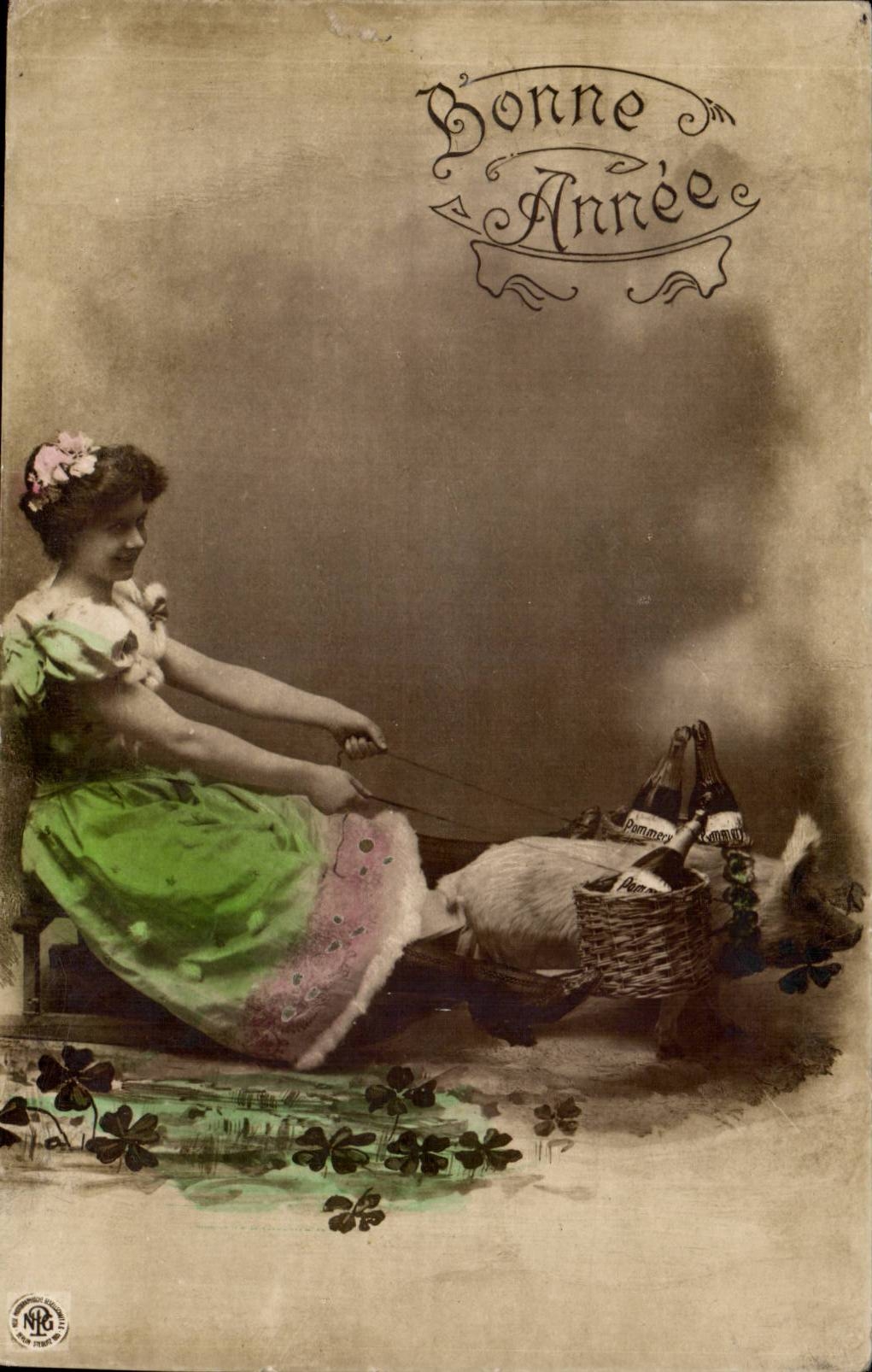 Femme en robe verte tirant un traîneau avec un chien — 'Gonne Année' — NRG, série 1904