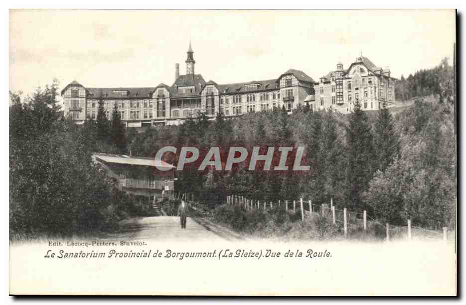 Belgique Belgie CPA Le sanatorium provincial de Borgoumont (la gleize) Vue de al route