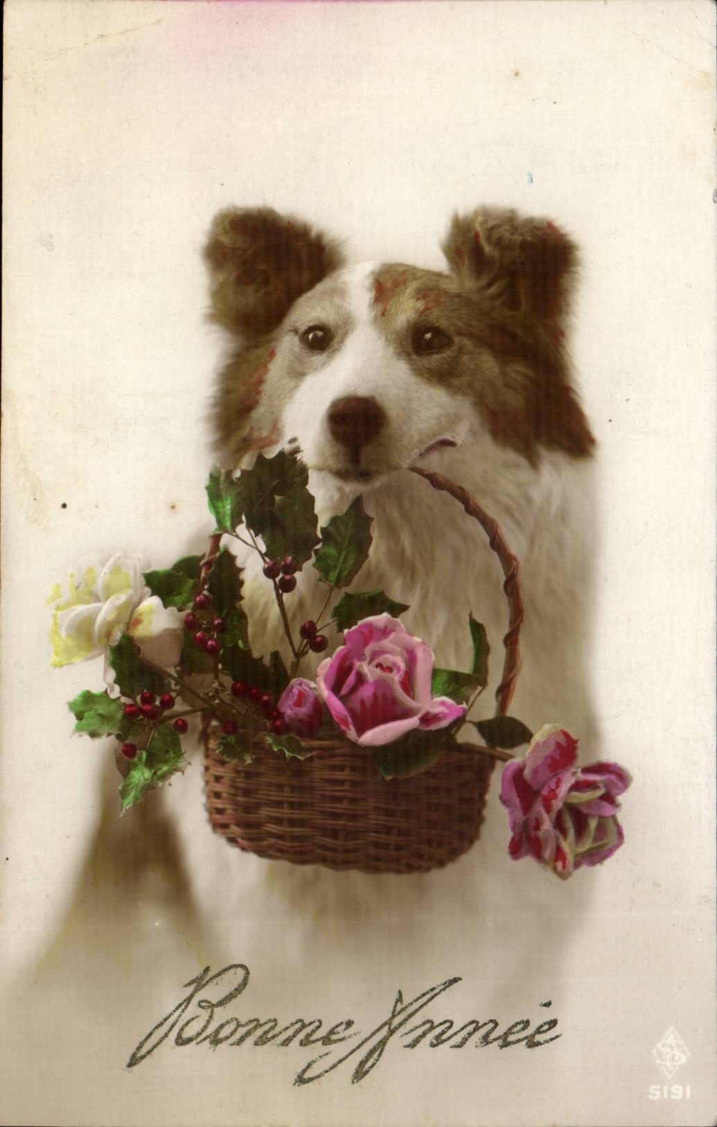 CPA Fantaisie Chien Dog Bonne annee