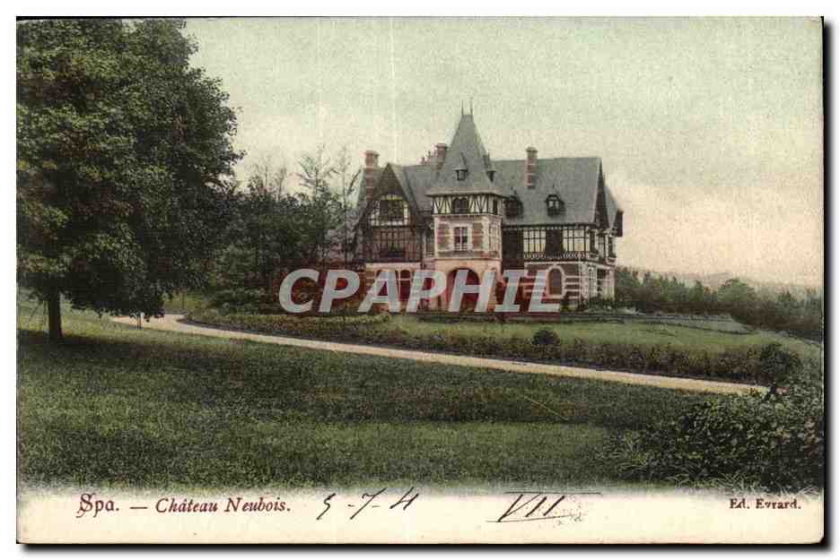 Belgie Belgique SPA CPA Chateau Neubois