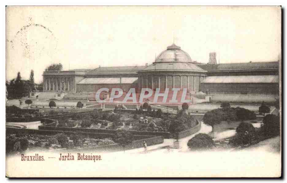 Belgie Belgique Bruxelles CPA Jardin botanique
