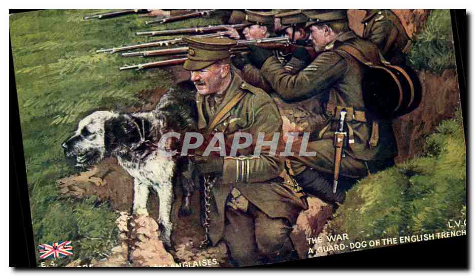 Belgie Belgique Chien garde des tranchees anglaises A guard dog on the English tranchee (miitaria)