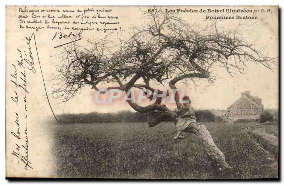 Les poesies de Botrel illustrees CPA Pommiers bretons