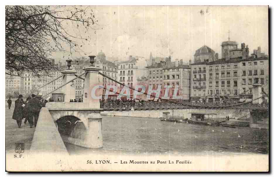 Les Mouettes au Pont La Feuillée — Lyon — S.F. n°56