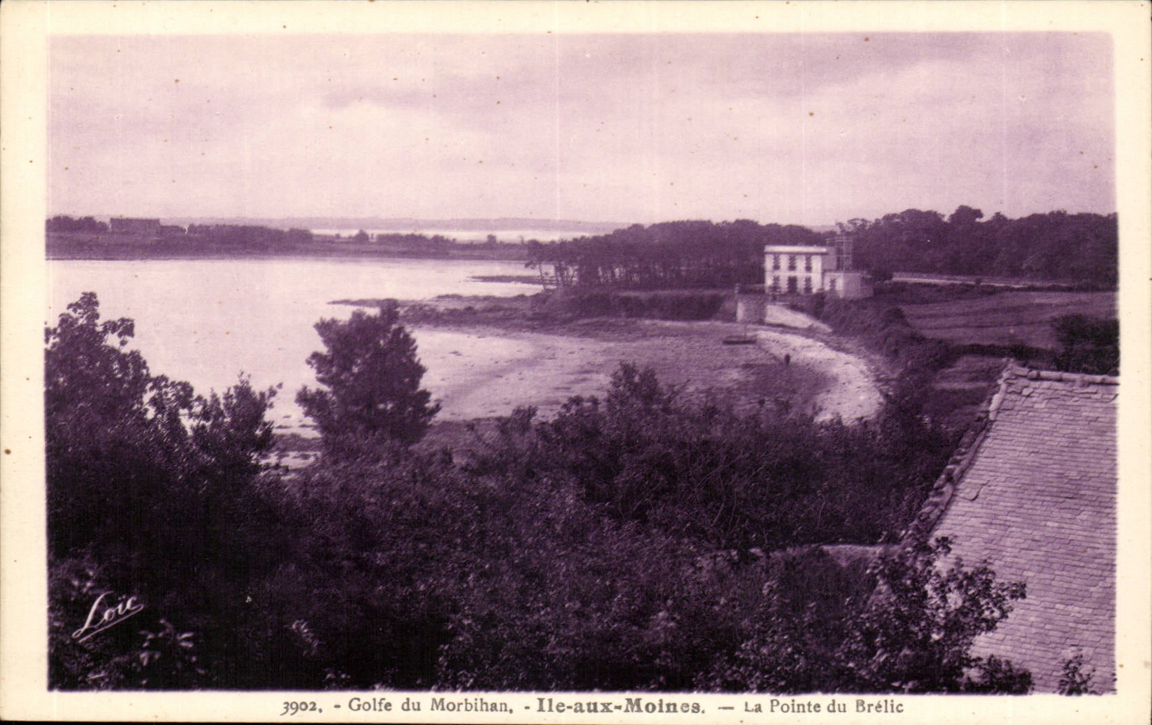 Golfe du Morbihan - Ile-aux-Moines - La Pointe du Brélic — Loire, n°3902