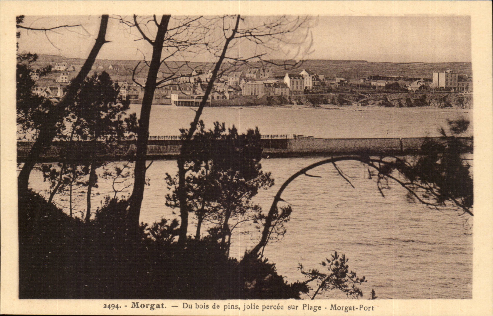 Morgat — Du bois de pins, jolie percée sur Plage - Morgat-Port